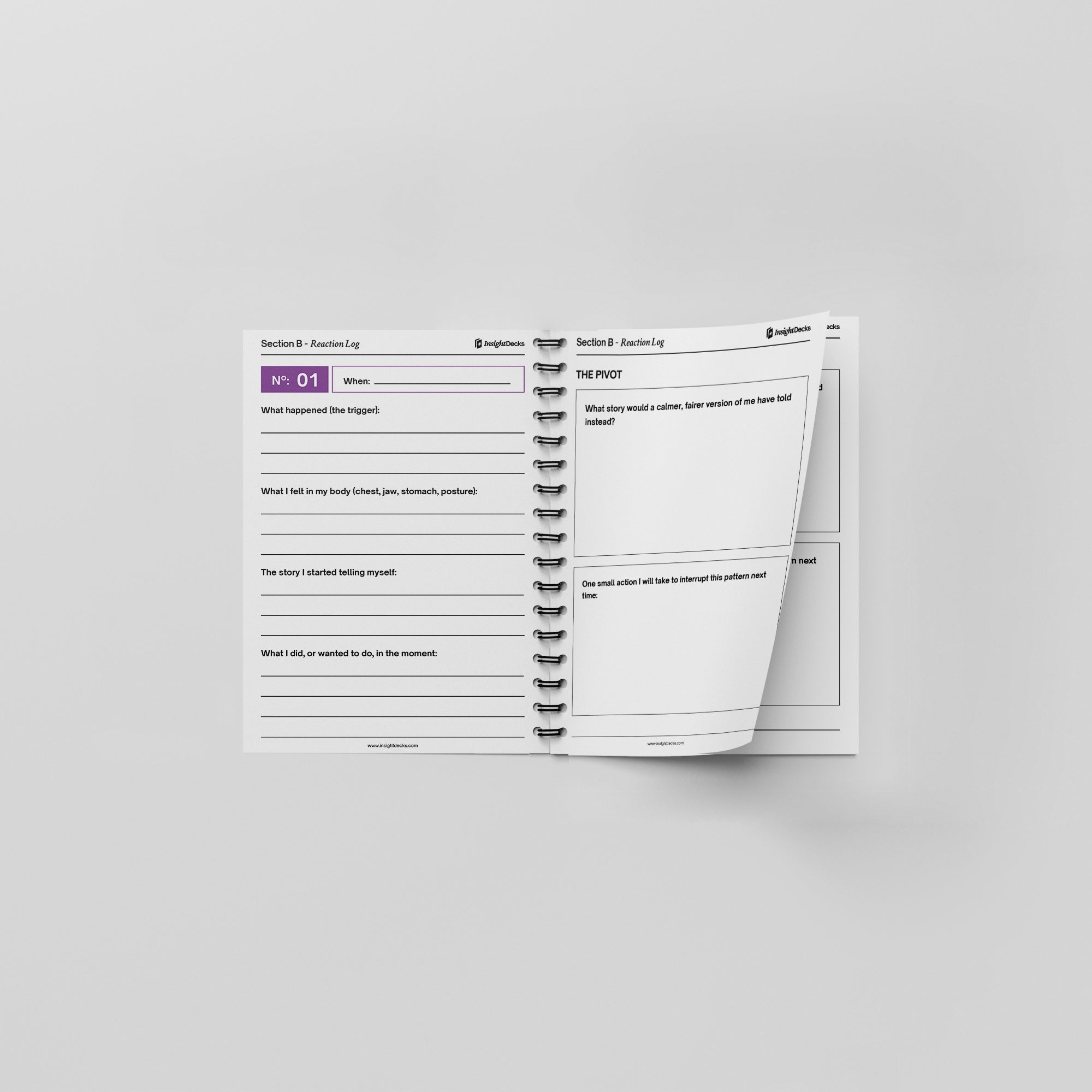 Cognitive Bias Workbook & Journal