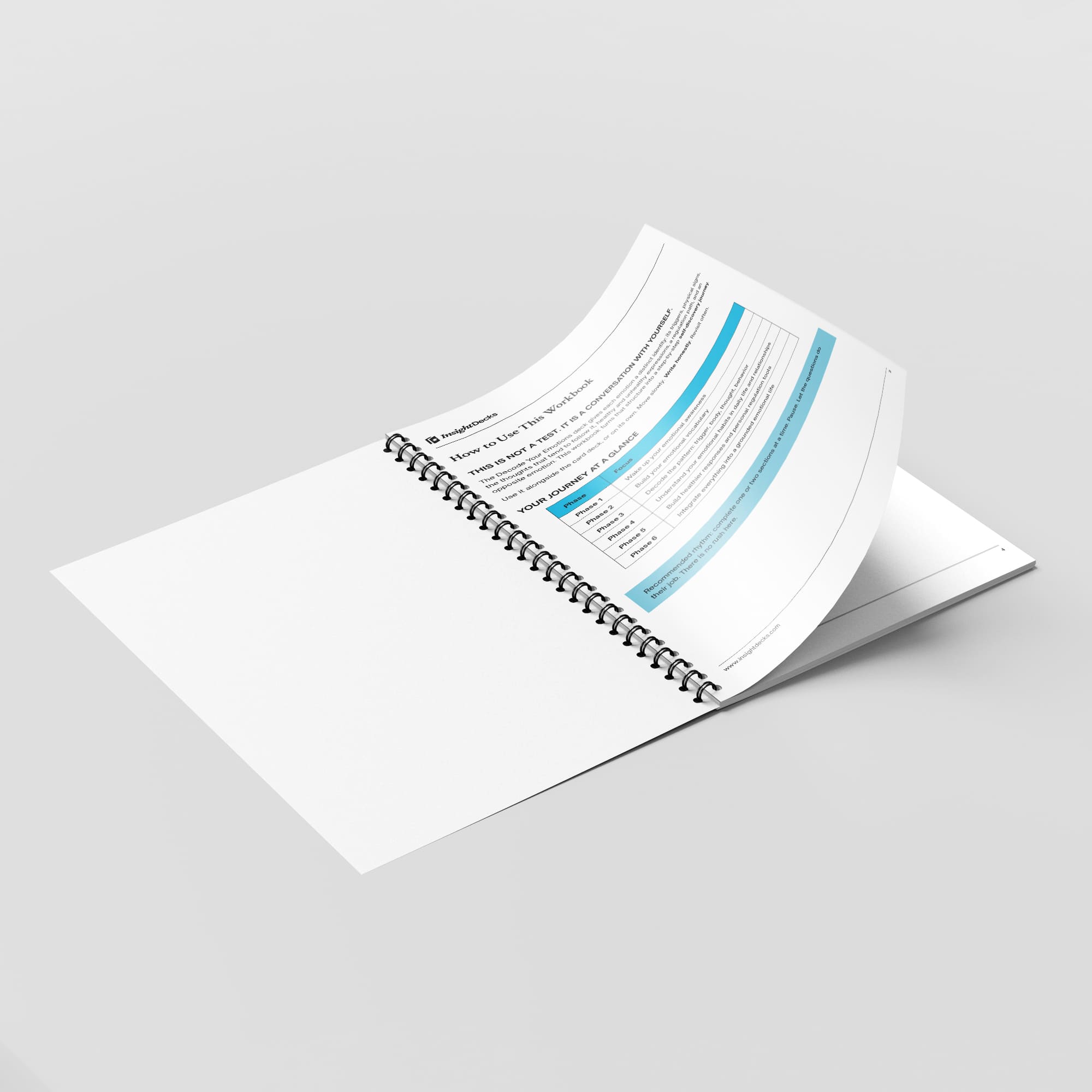 Decode Your Emotions Workbook & Journal