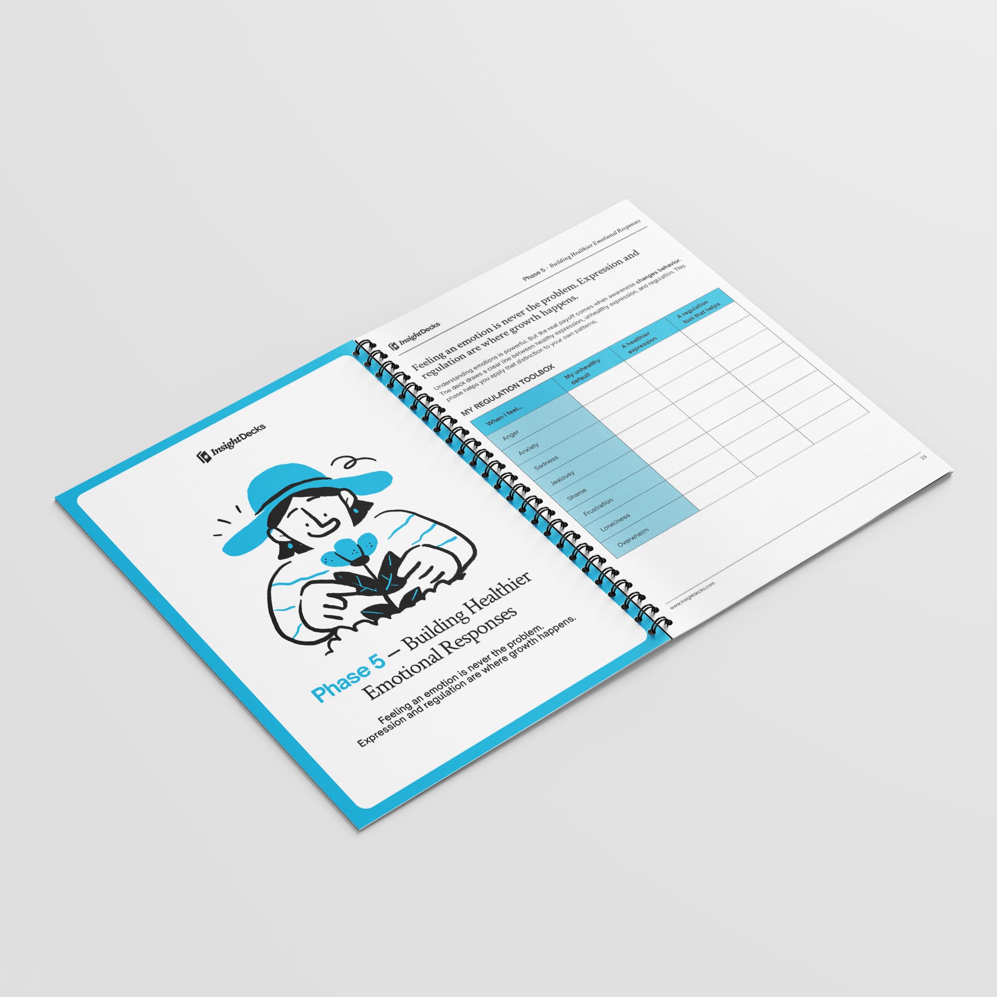 Decode Your Emotions Workbook & Journal